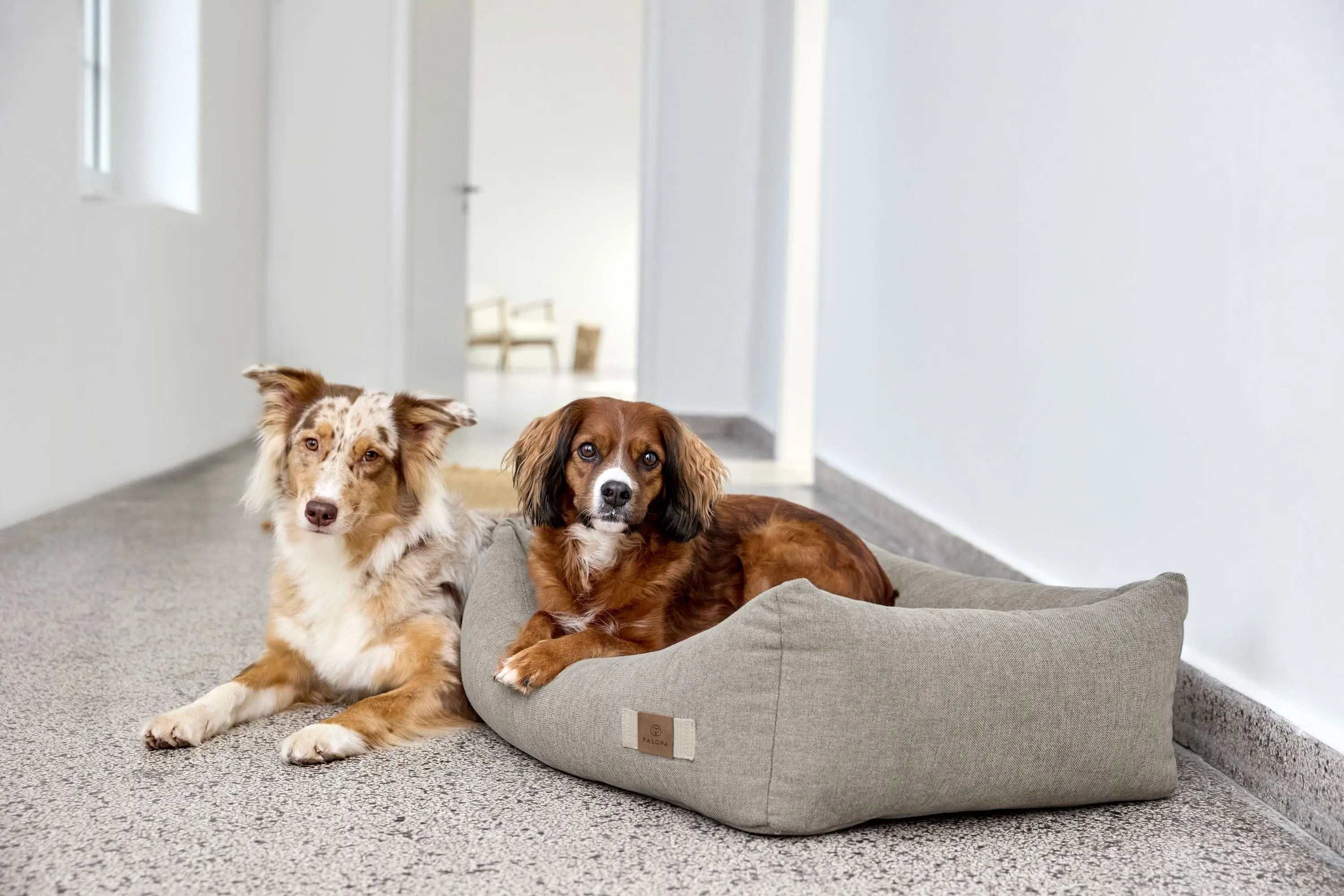 Hundebett Baumwolle - Fred, Grau PALOPA