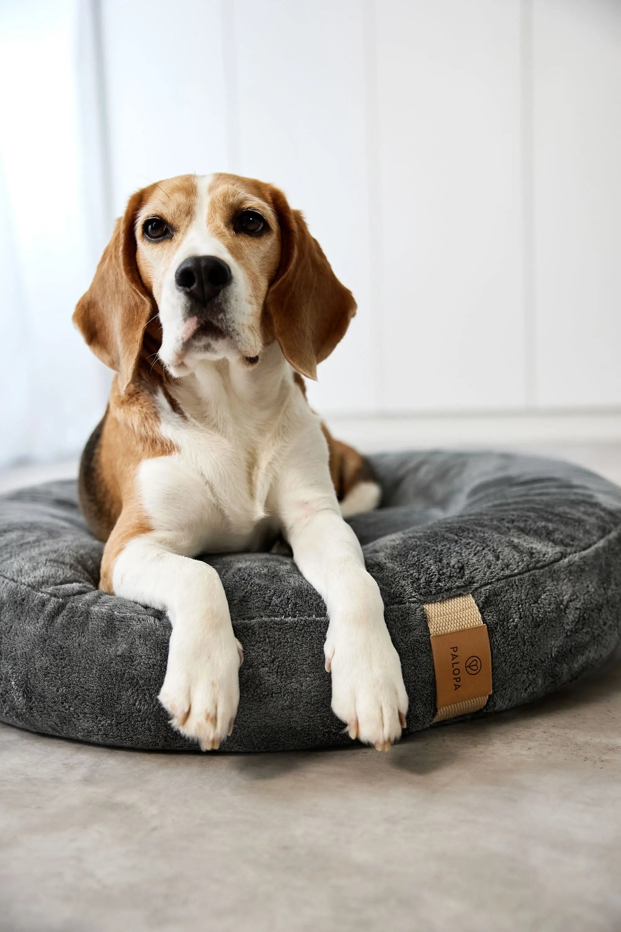Hundebett Rund - Fippa, Anthrazit PALOPA