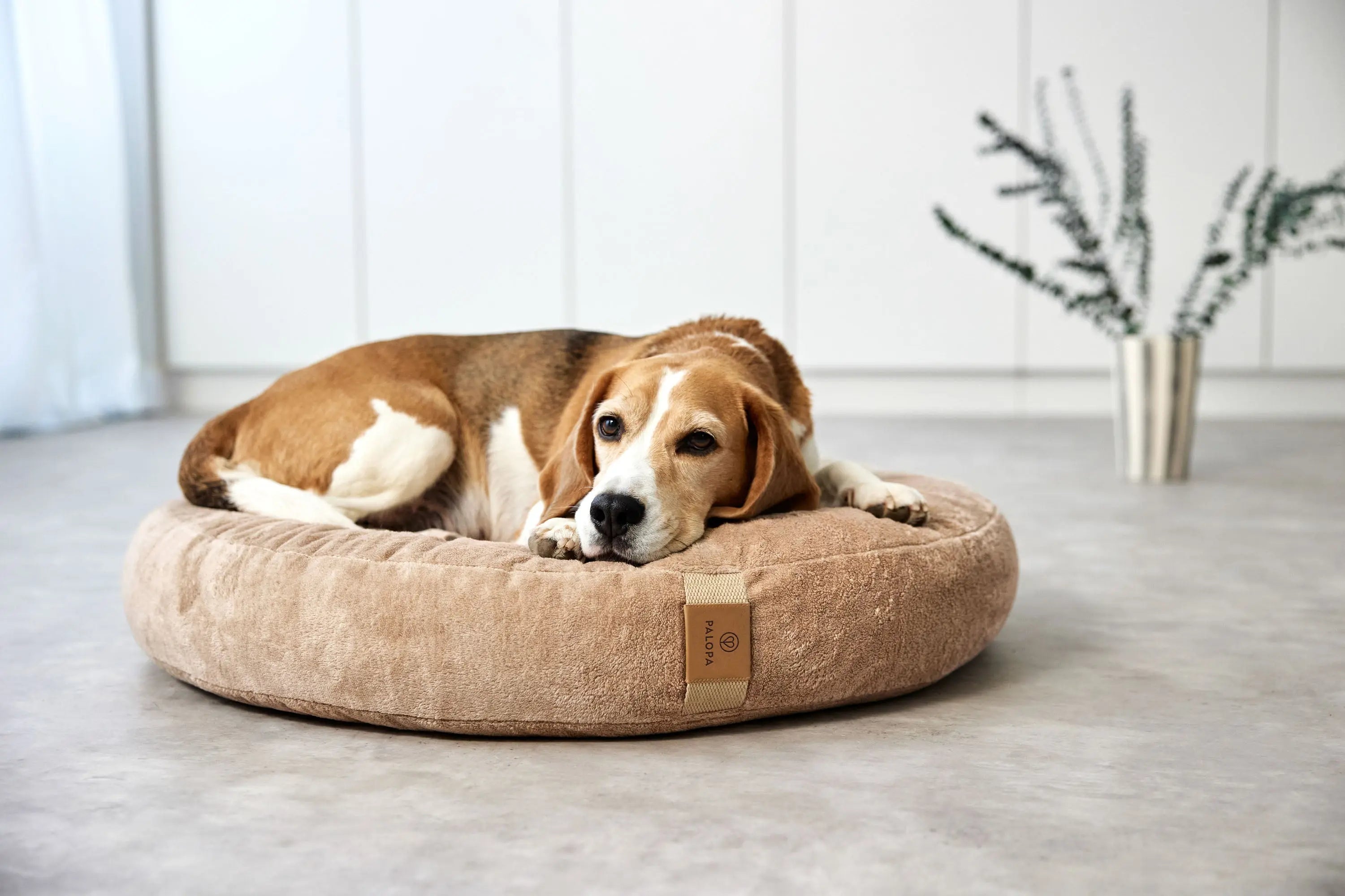 Hundebett Rund - Fippa, Humus Lässig