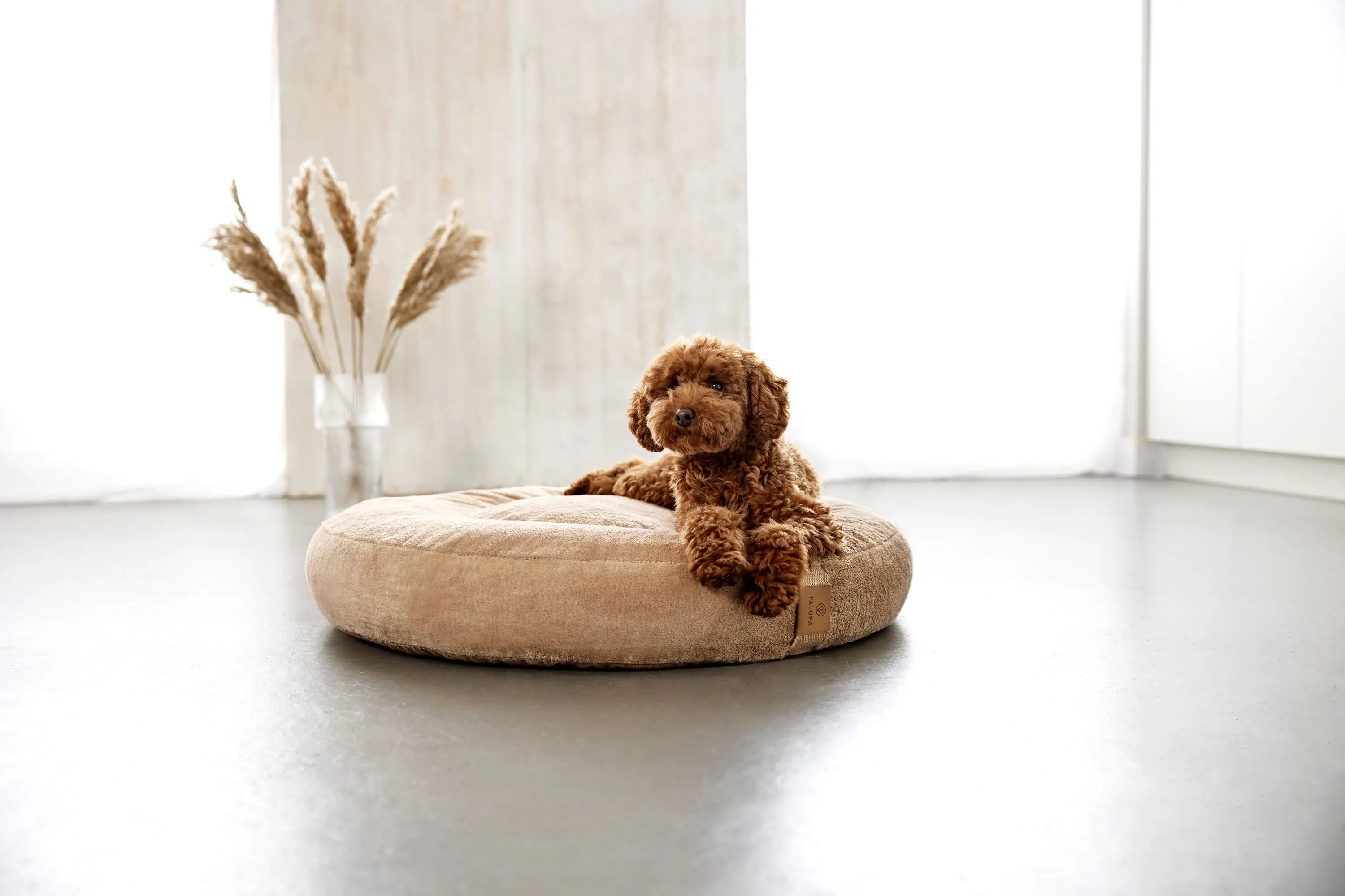Hundebett Rund - Fippa, Humus PALOPA
