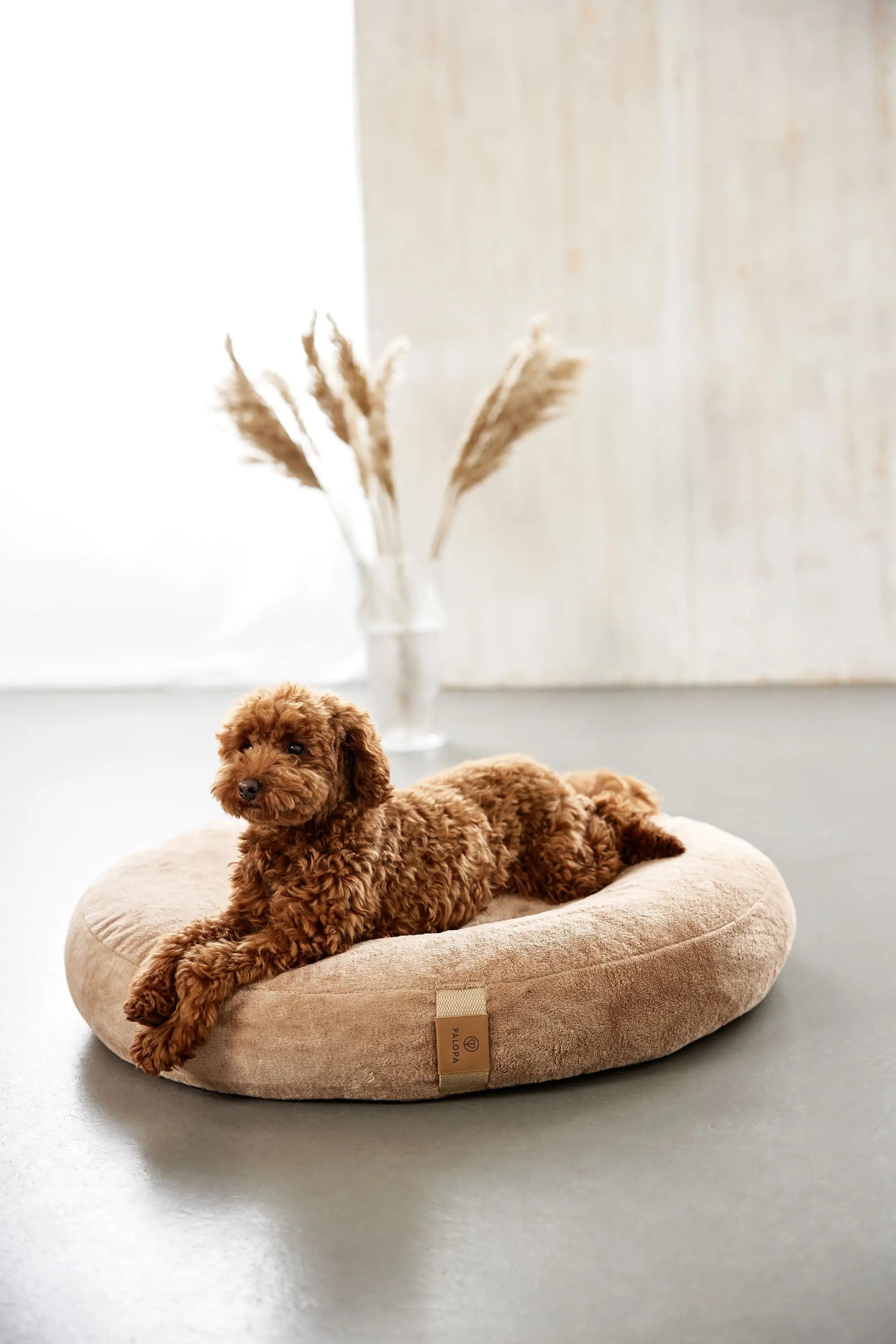 Hundebett Rund - Fippa, Humus PALOPA