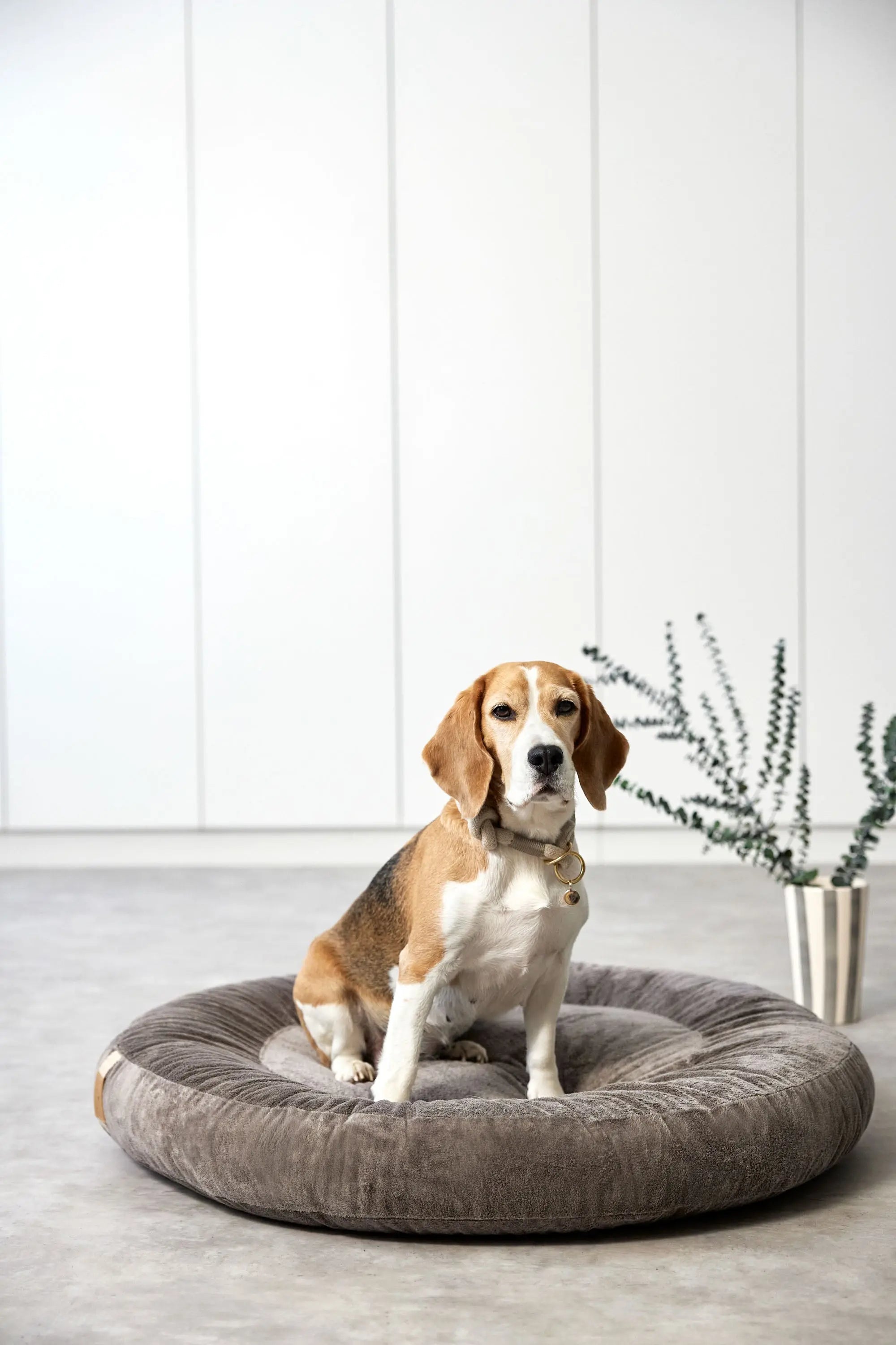 Hundebett Rund - Fippa, Taupe Lässig