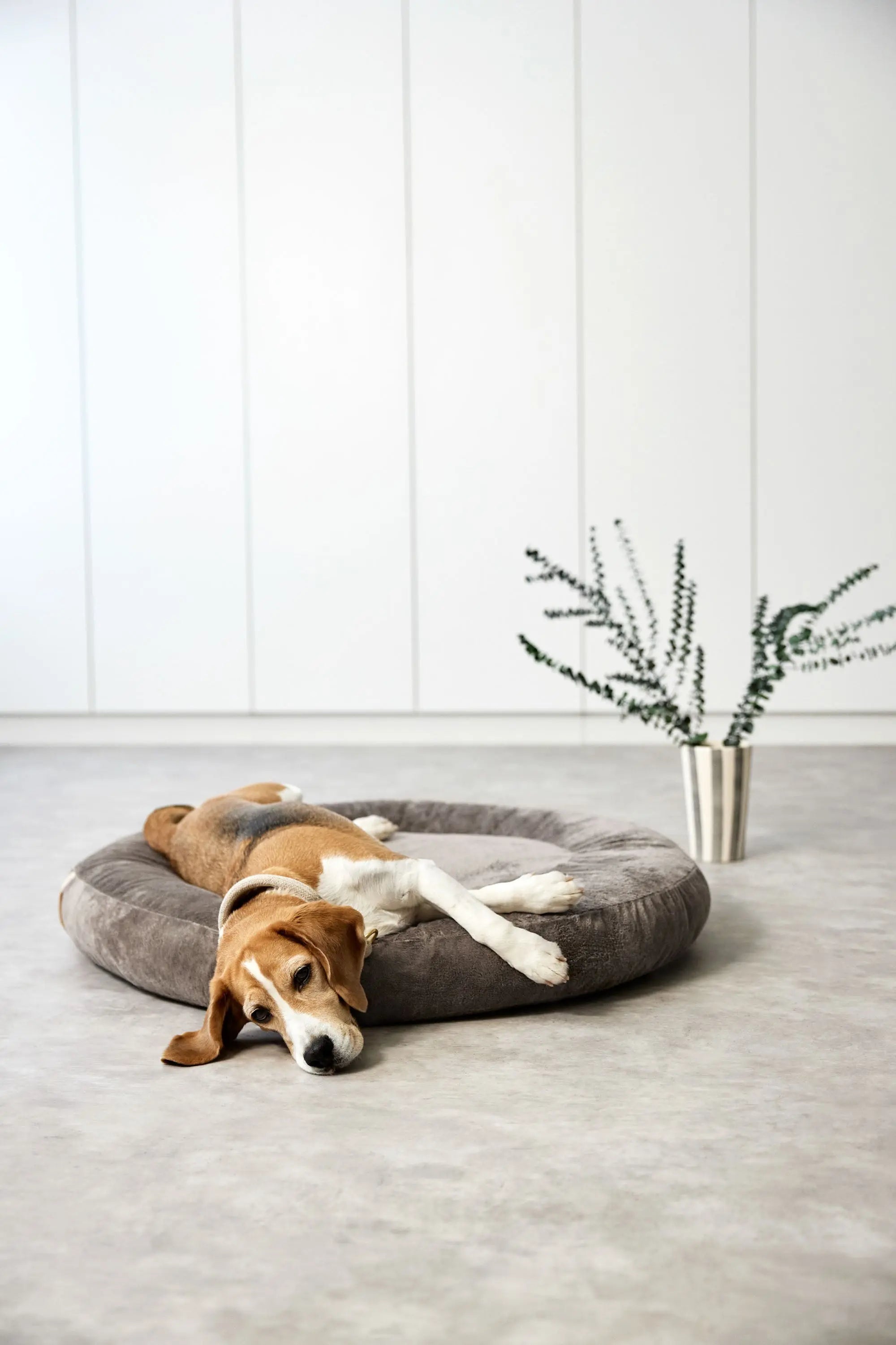 Hundebett Rund - Fippa, Taupe Lässig