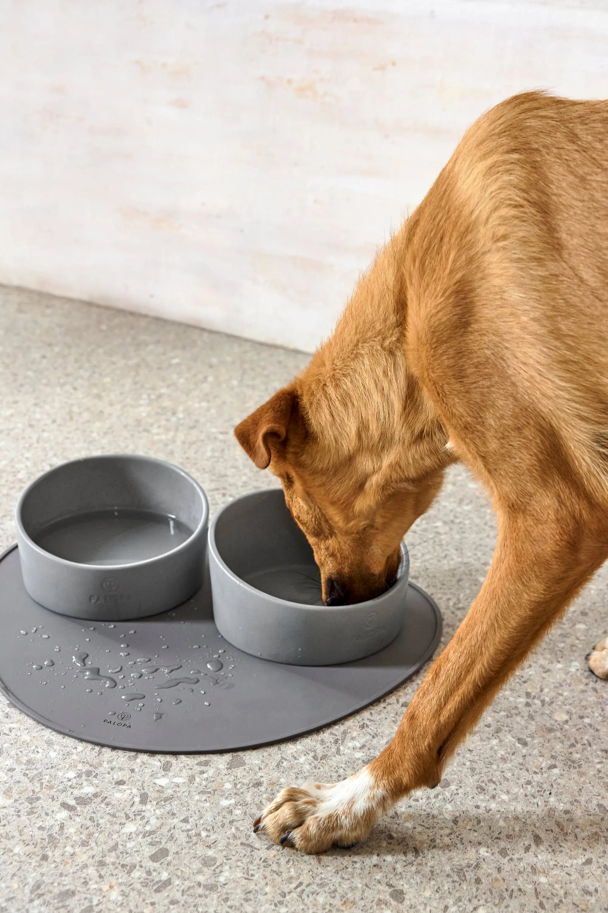 Hundenapf - Cali, Grau Lässig