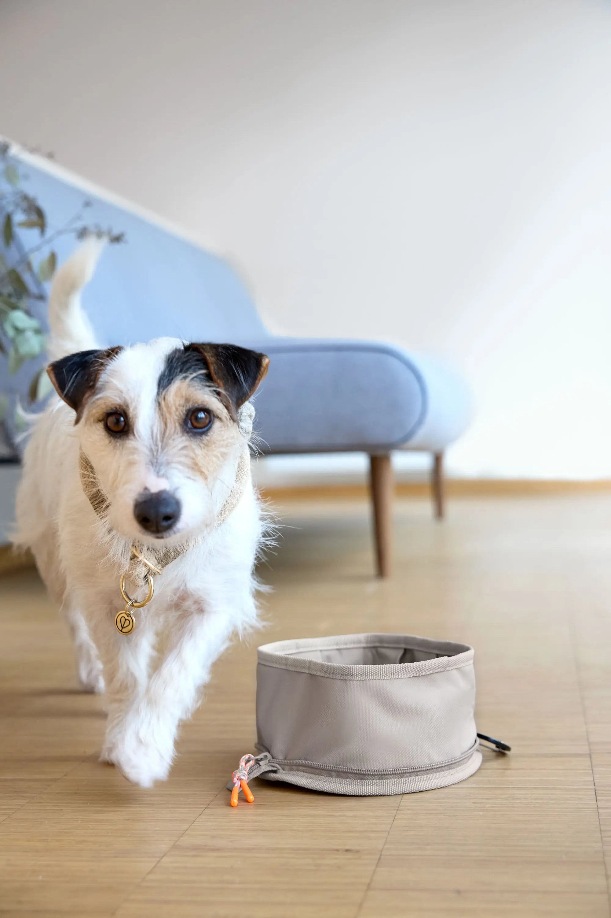 Hundenapf zum Mitnehmen - Tura, Taupe Lässig