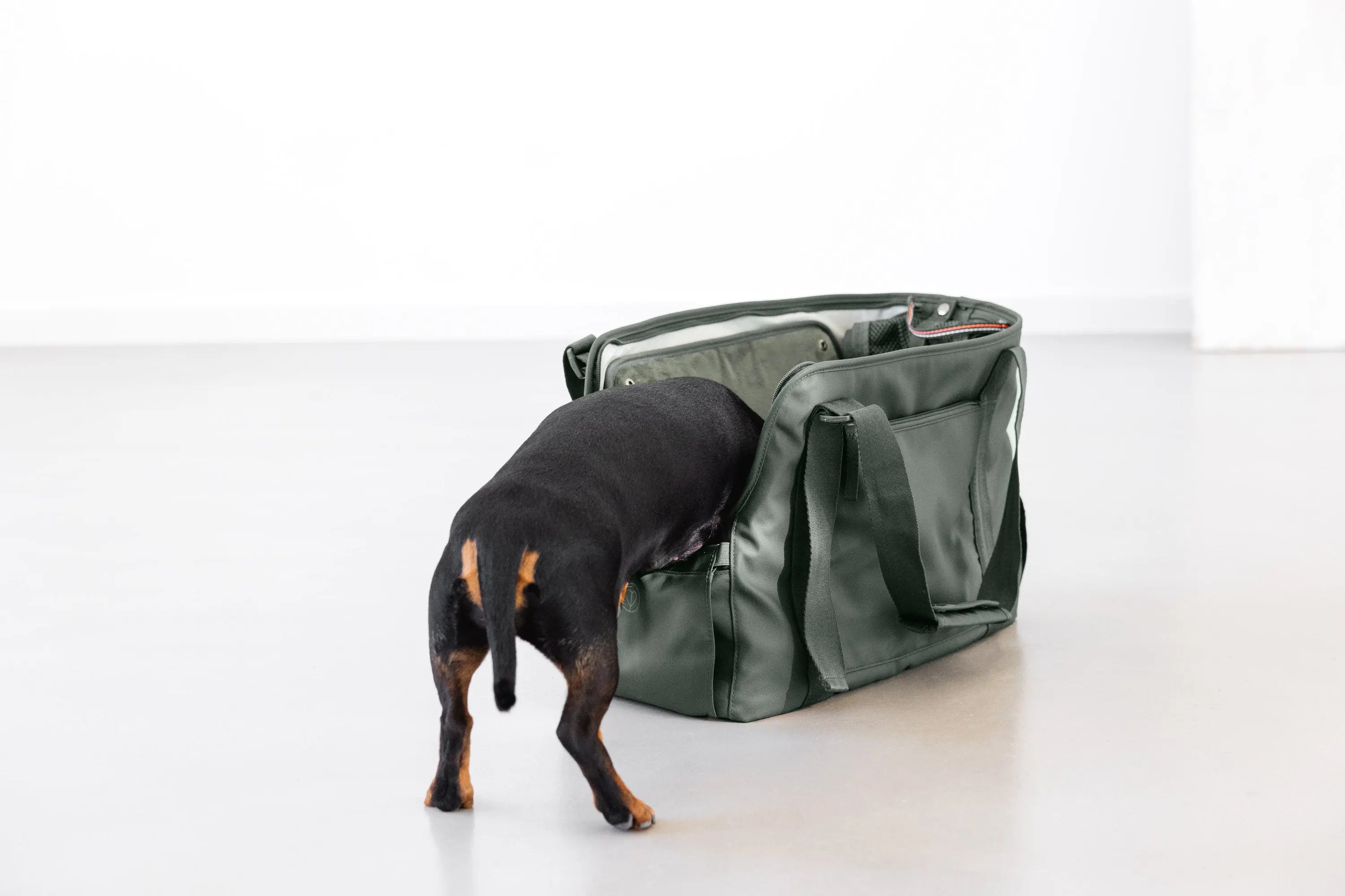 Hundetasche - Weda, Dunkelgrün PALOPA