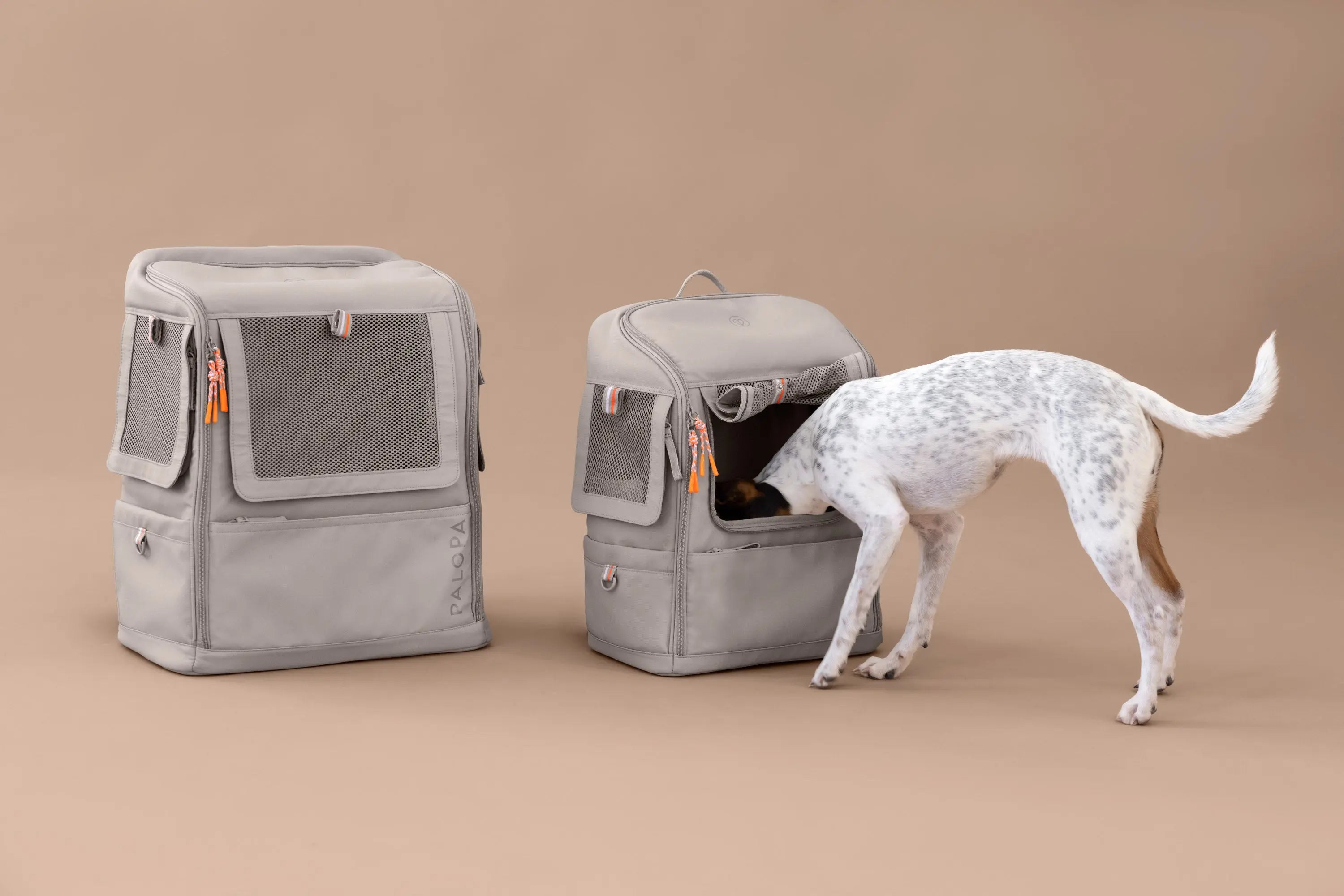 Hundetragerucksack - Kari, Taupe PALOPA