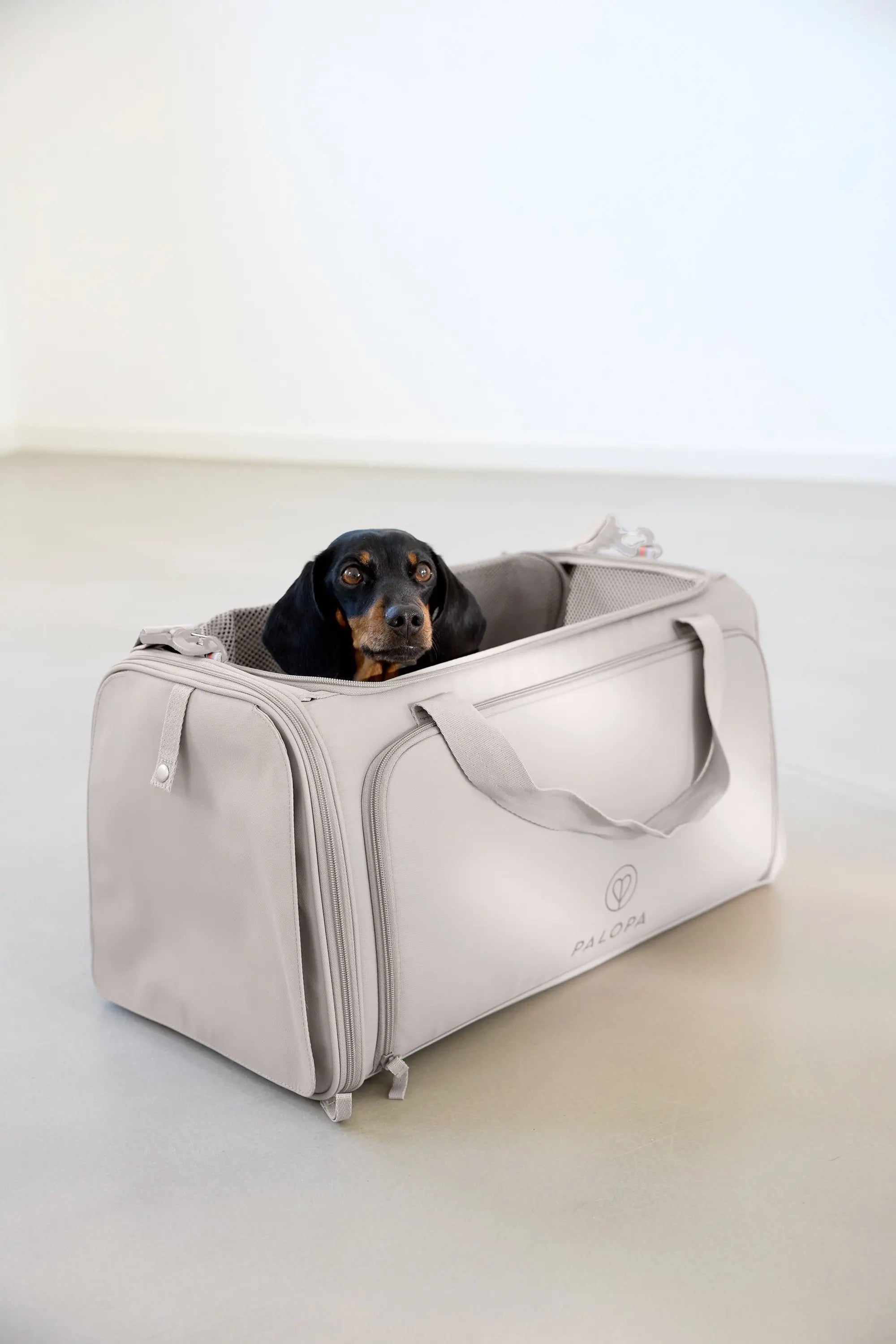 Hundetragetasche - Benno, Taupe PALOPA