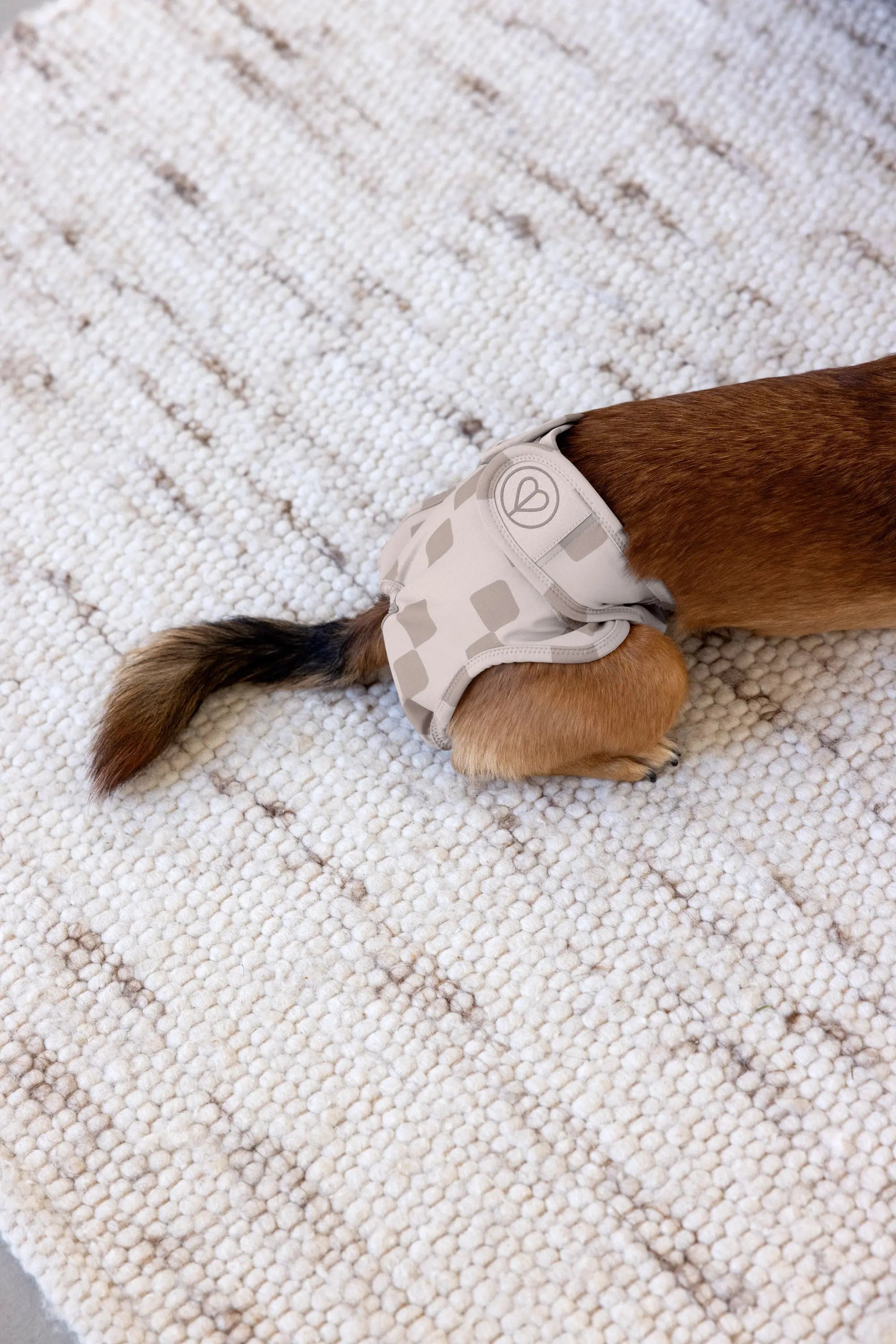 Läufigkeitshose, Hundewindel - Glan, Taupe PALOPA