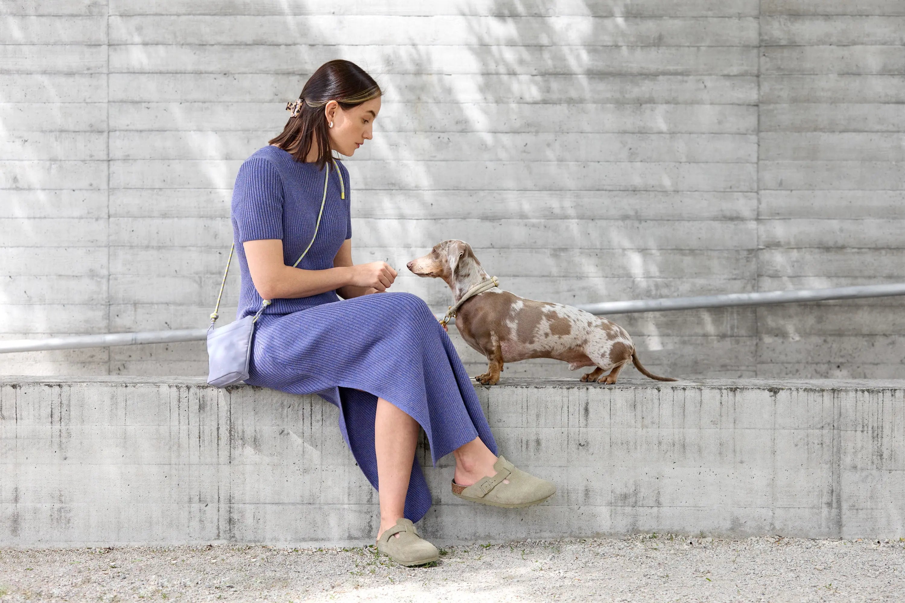 Leckerlibeutel - Karl, Purple (Limited Edition) PALOPA