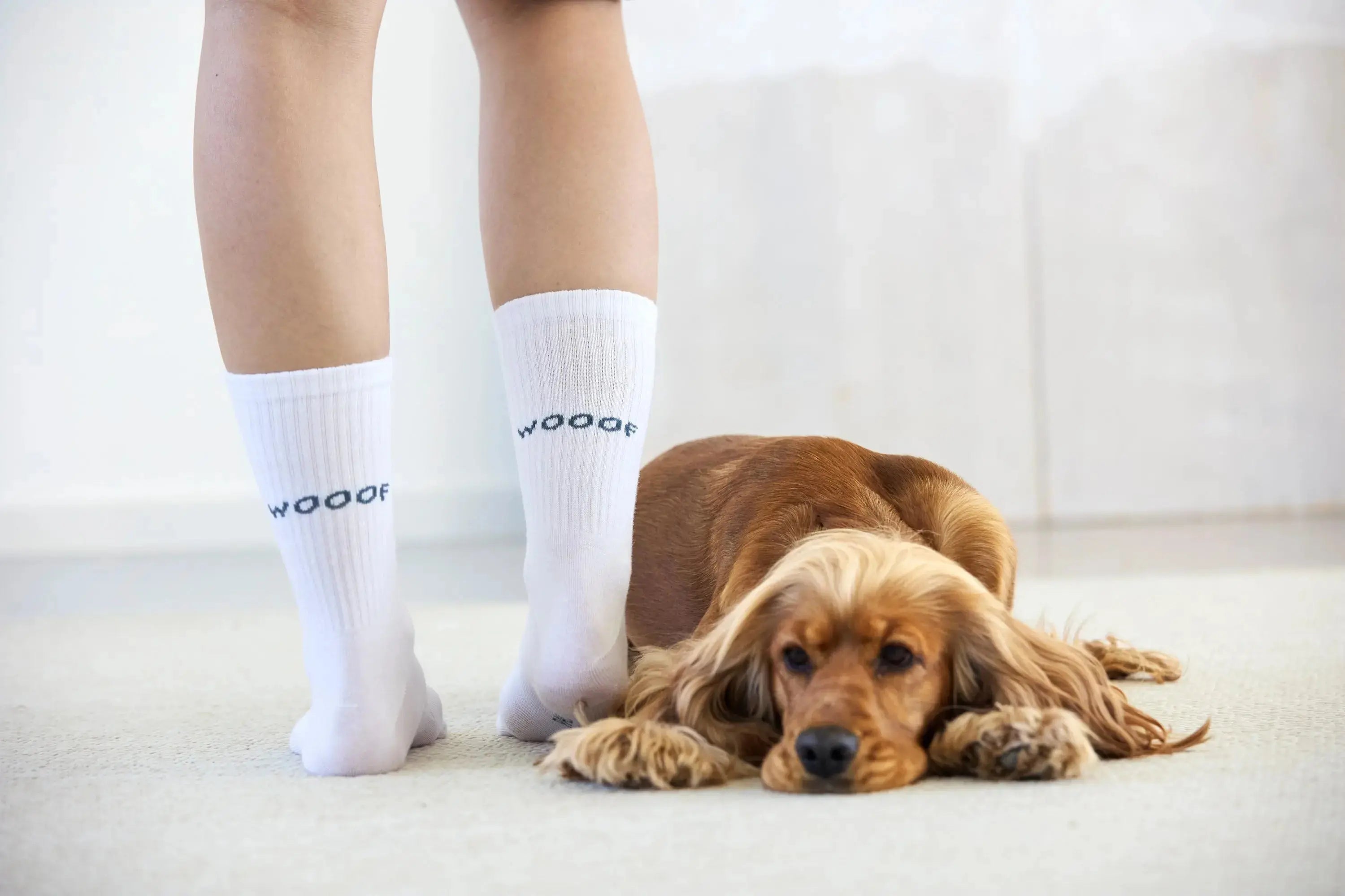 PALOPA Tennis Socken 2er Set - Lettering, Blue Grey PALOPA