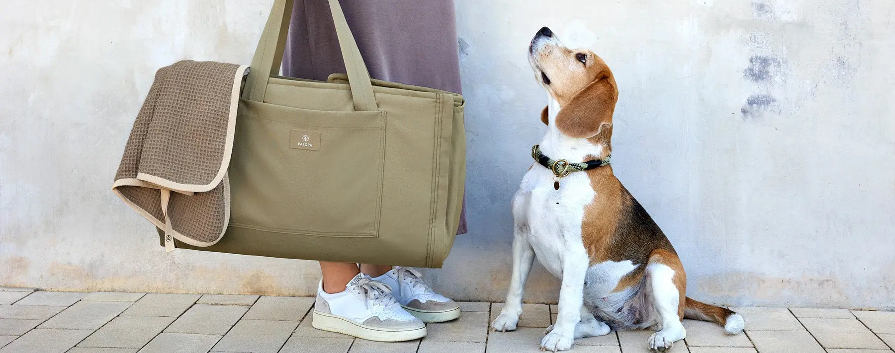 Die perfekte Tasche für einen Ausflug mit Hund PALOPA