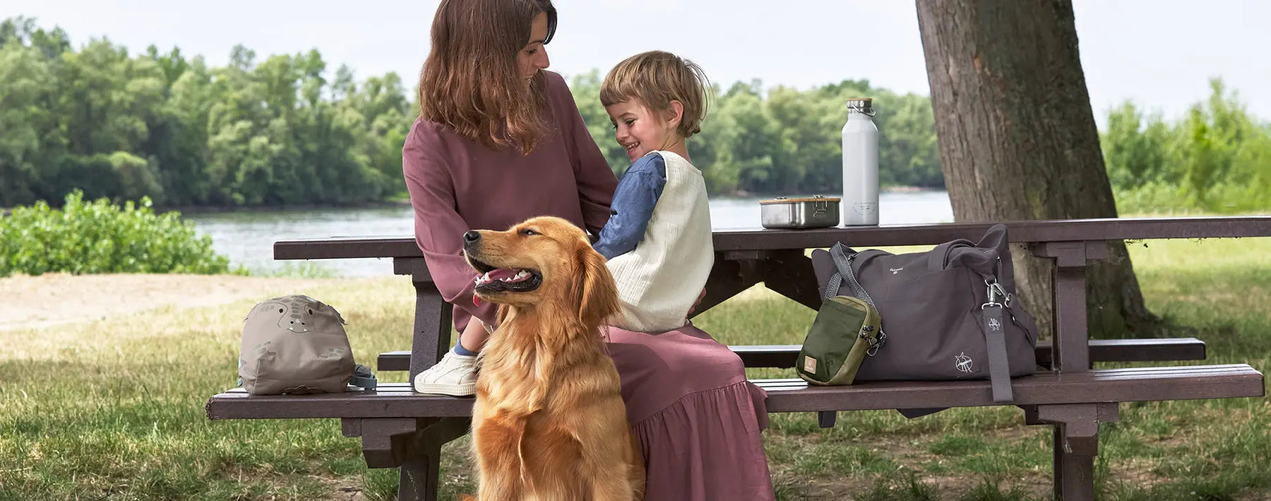 Golden Retriever  Familienhund mit Charme PALOPA