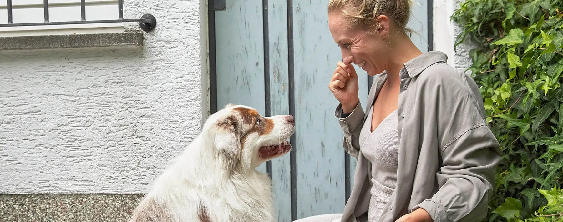 Körpersprache von Hunden verstehen lernen PALOPA