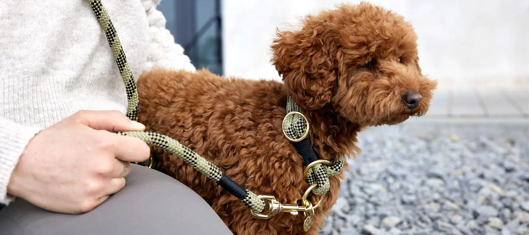 Reinigungstipps für Halsband- und Leine PALOPA