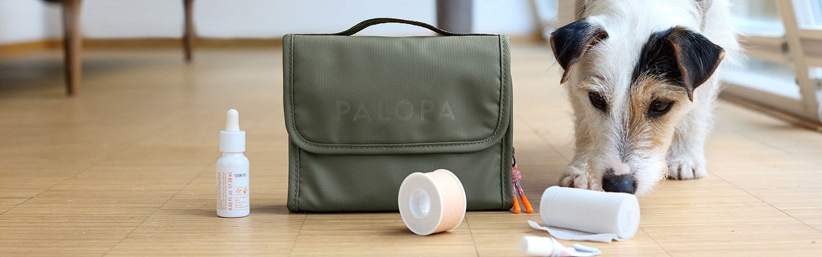 Hund schnuppert an Verbandsmaterial neben einem Erste-Hilfe-Set Bano für Hunde 
