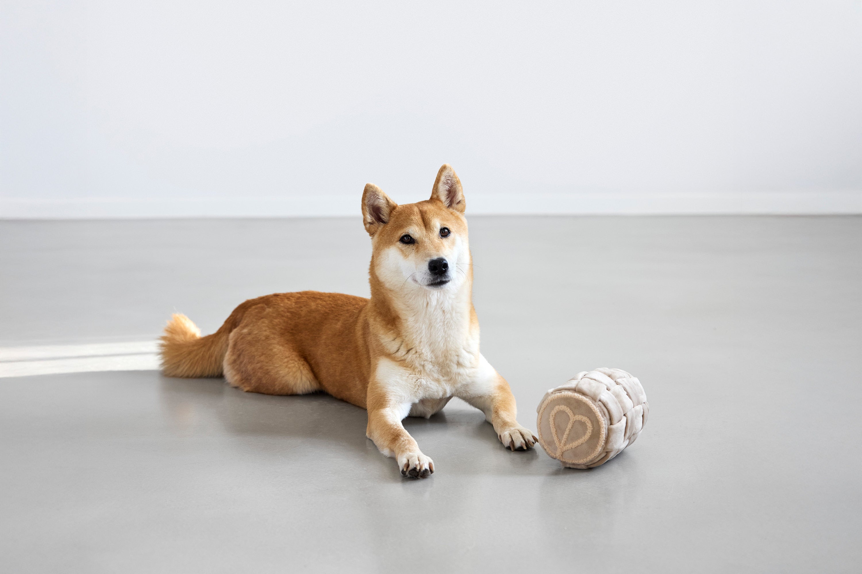 Hundespielzeug PALOPA