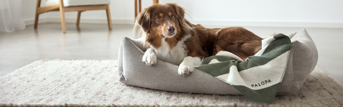 Hundedecke PALOPA