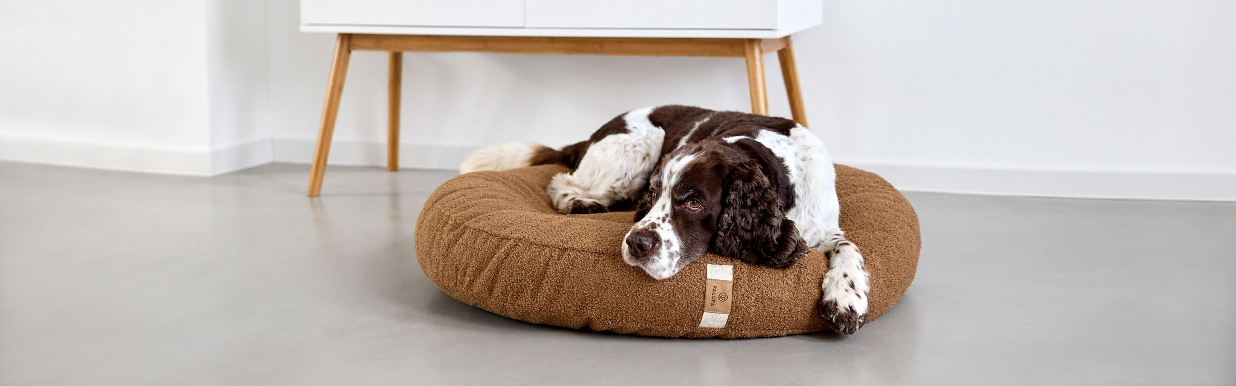 Hundebett Fred