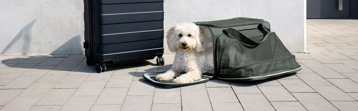Unterwegs-mit-Hund - PALOPA
