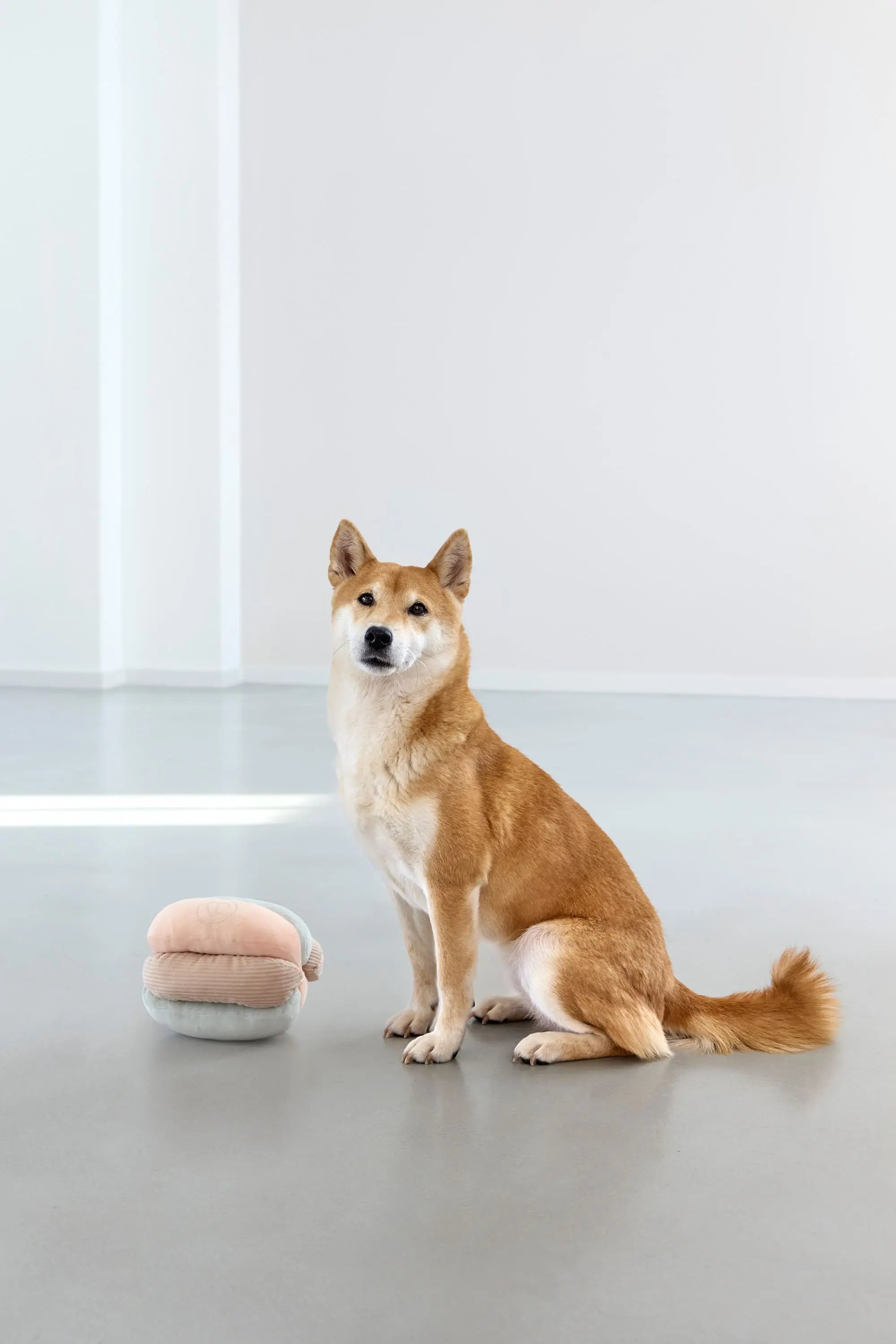 Hundespielzeug - Brino, Rosa