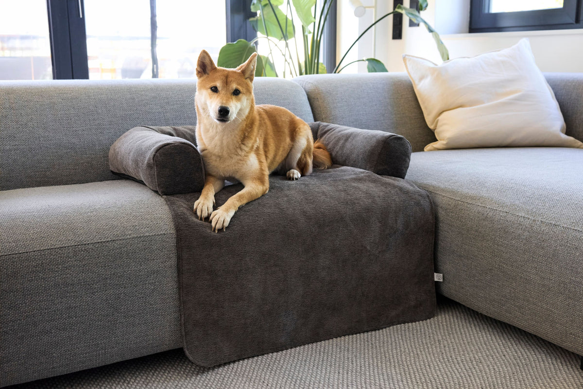 Sofa Schutzmatte Hund - Rika - PALOPA