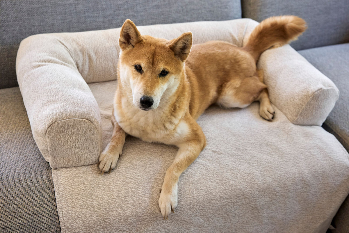 Sofa Schutzmatte Hund - Rika - Lässig