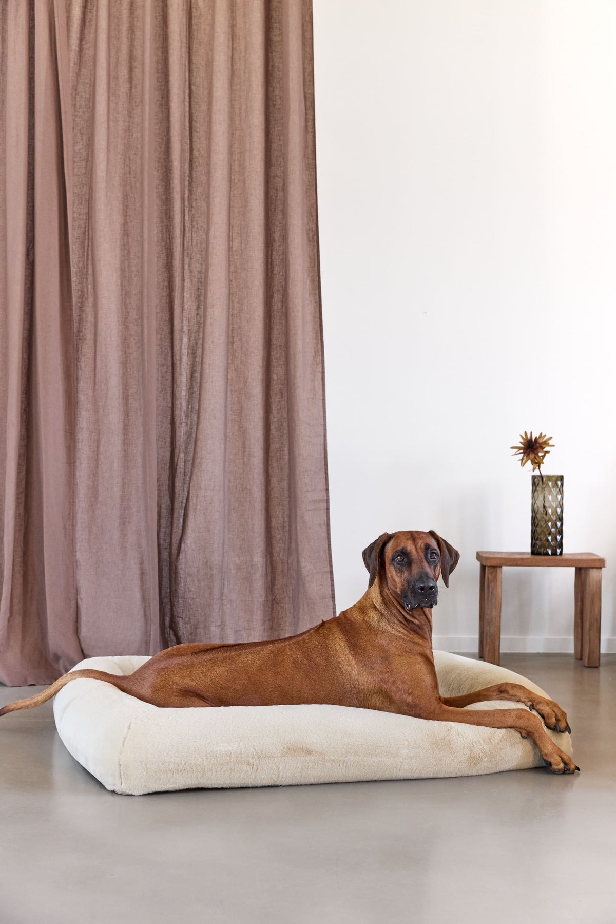 Hundebett - Soma - PALOPA