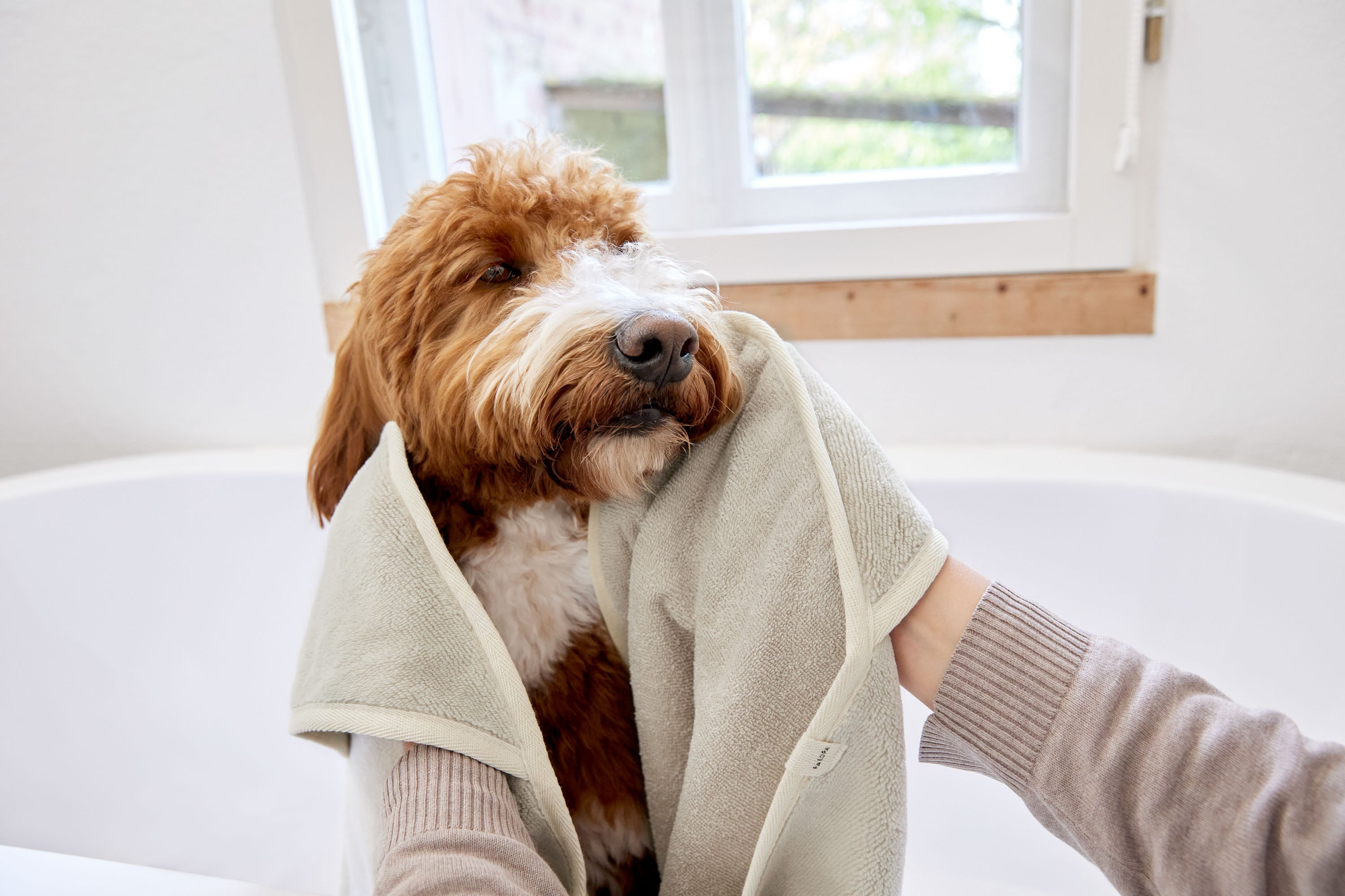 Dog towel - Kosy, beige
