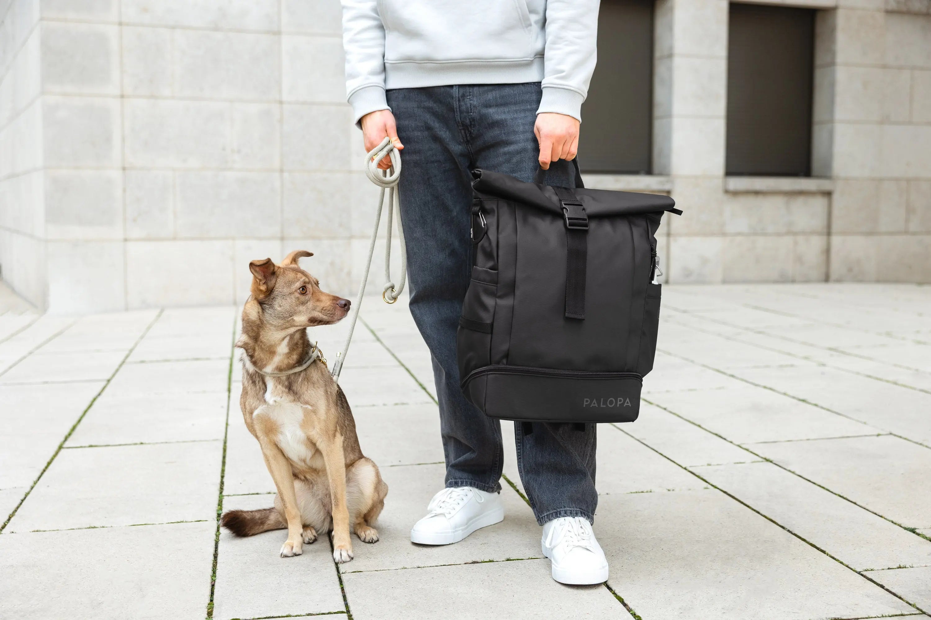 Rolltop Rucksack - Yoska, Schwarz
