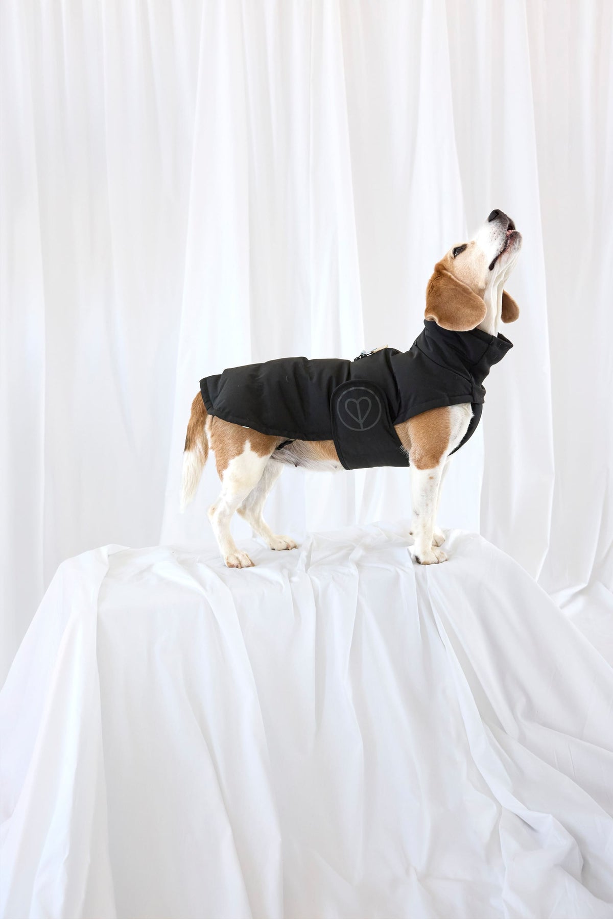Hundewintermantel Lang - Nolia