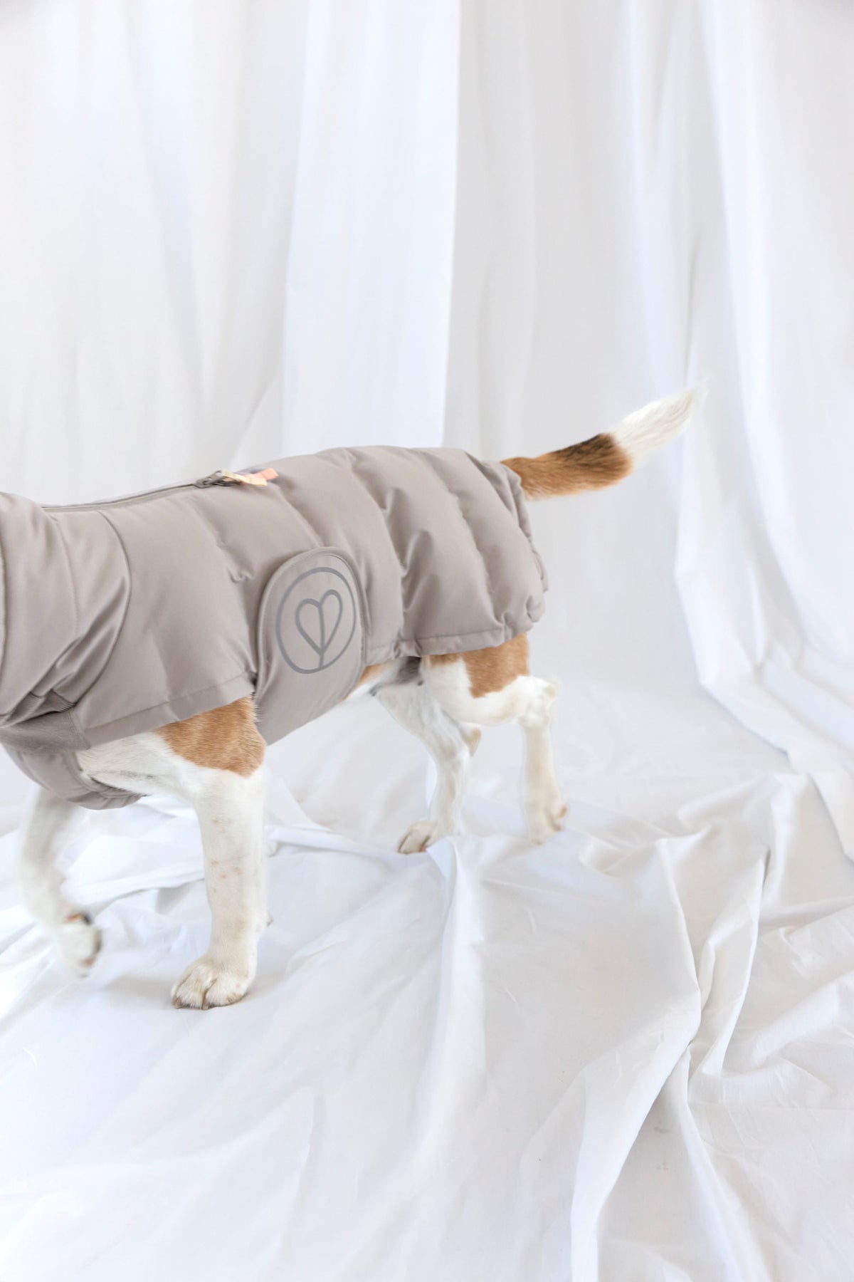 Hundewintermantel Lang - Nolia