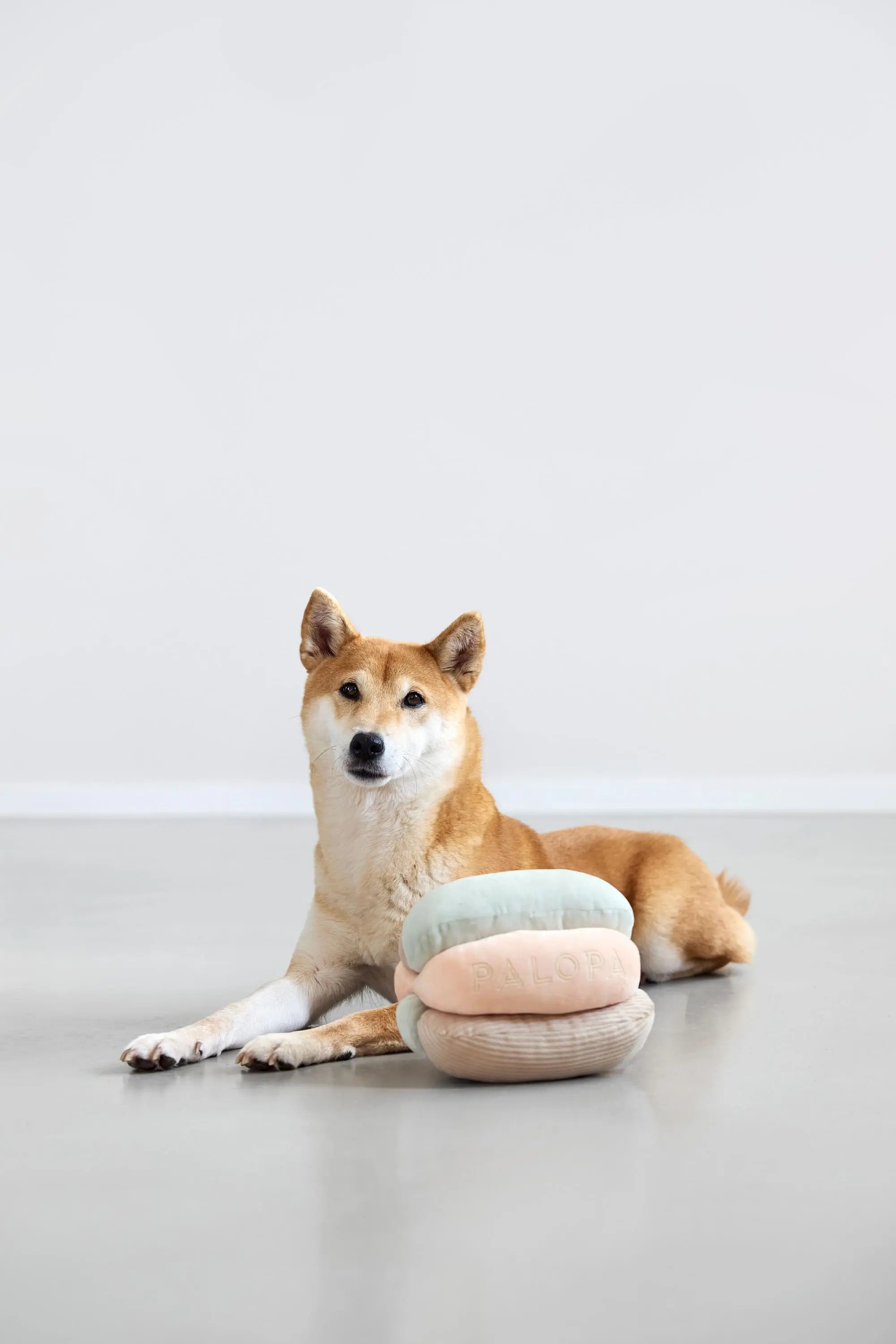 Hundespielzeug - Brino, Rosa