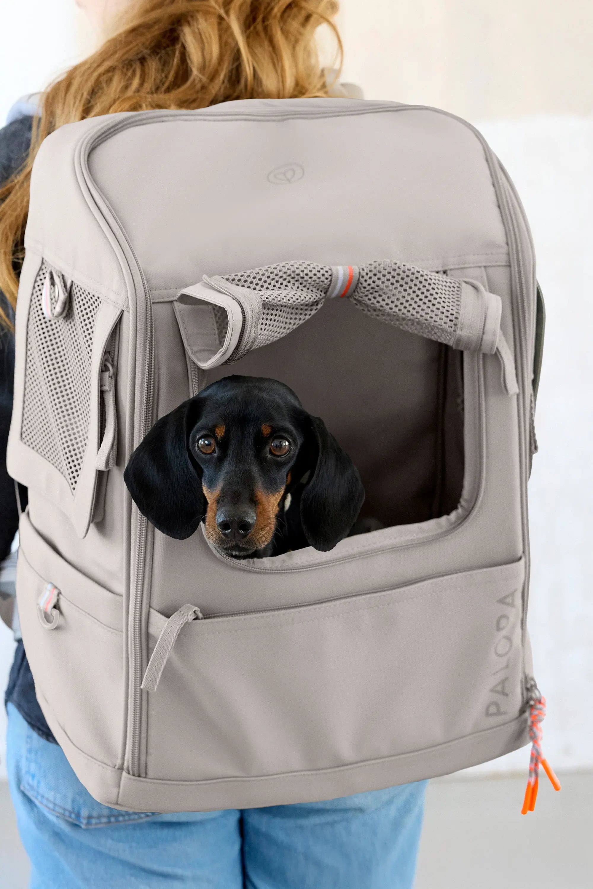 Hundetragerucksack - Kari, Taupe