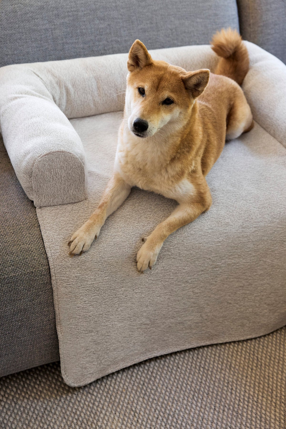 Sofa Schutzmatte Hund - Rika - PALOPA