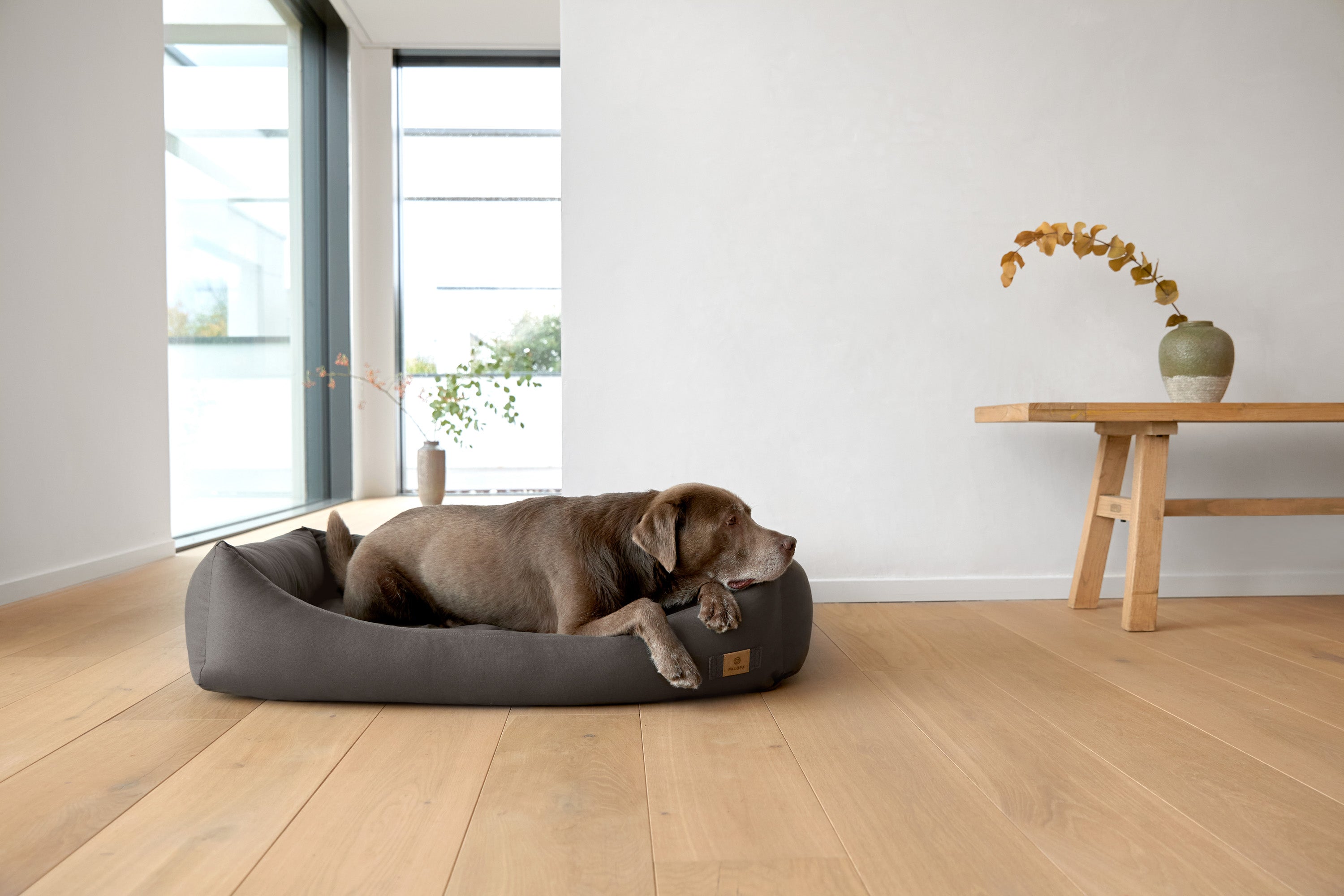 Dog bed cotton - Fred, anthracite