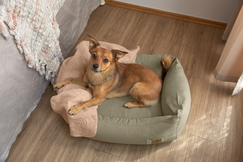 Hundebett Baumwolle - Fred, Salbei