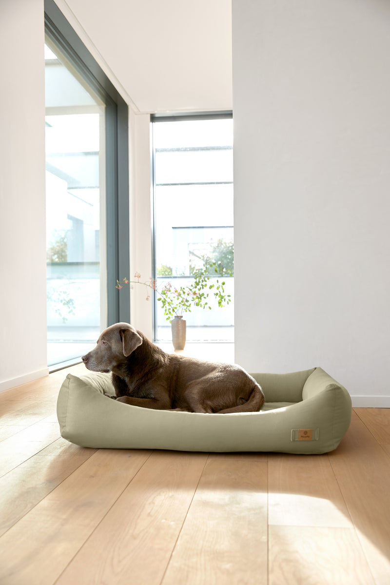 Hundebett Baumwolle - Fred, Salbei