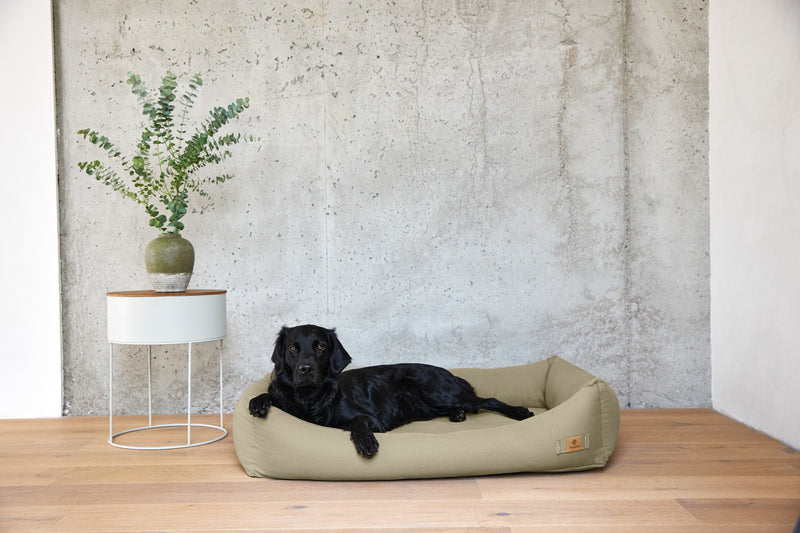 Hundebett Baumwolle - Fred, Salbei