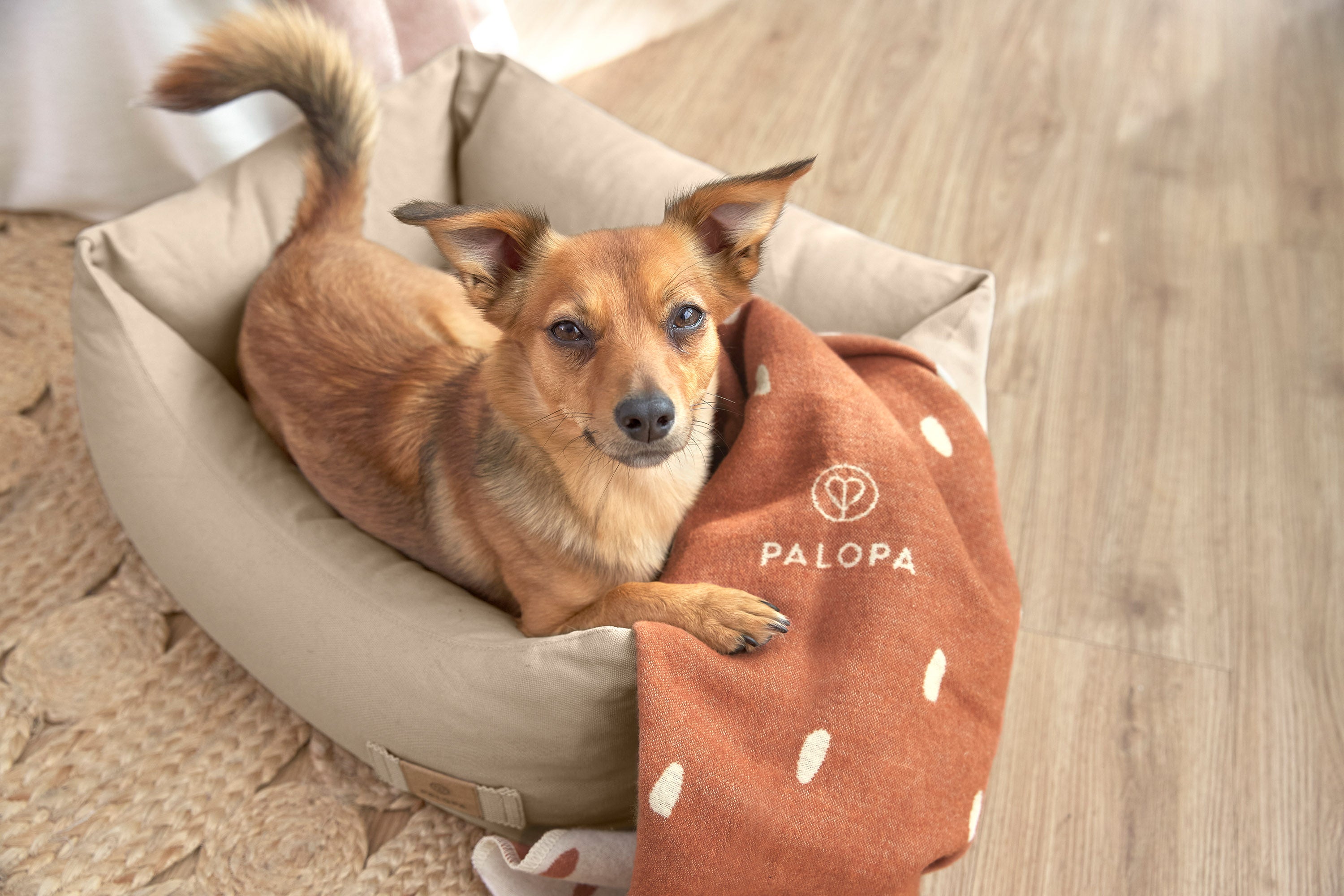 Dog blanket M - Ida, dots cinnamon milky
