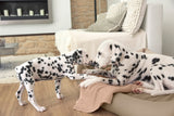 Hundedecke M - Mathilda, Ahorn
