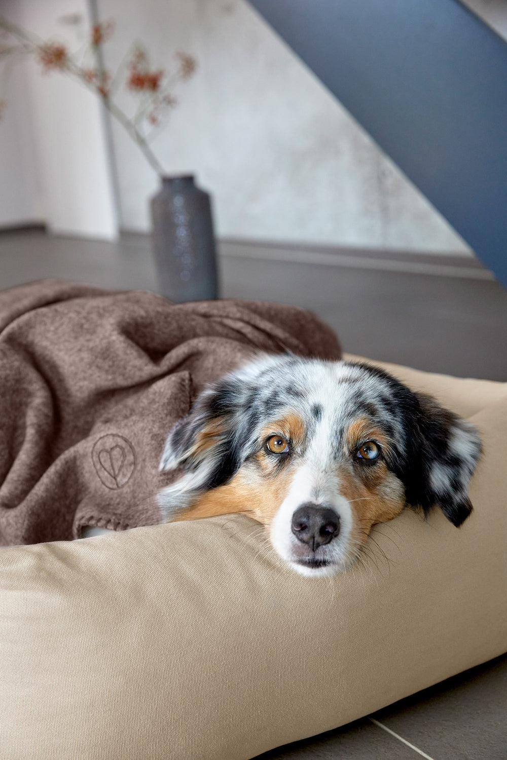 MSS E.K. Hundebett Sofa 60 X 44 Cm S In Braun Hunde Produktbild-Vorschau 4