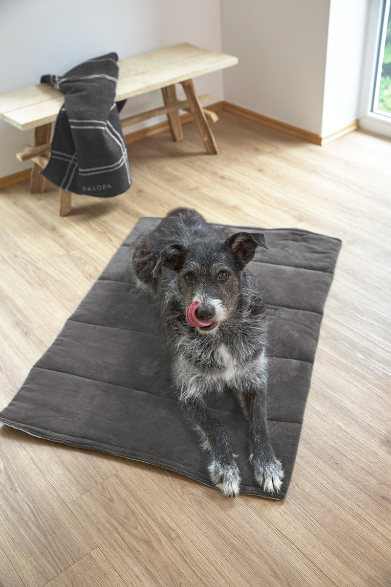 Hundematte - Alma, Salbei