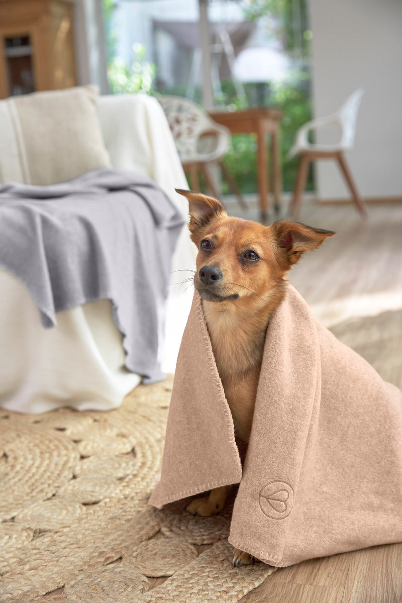Hundedecke M - Mathilda, Ahorn