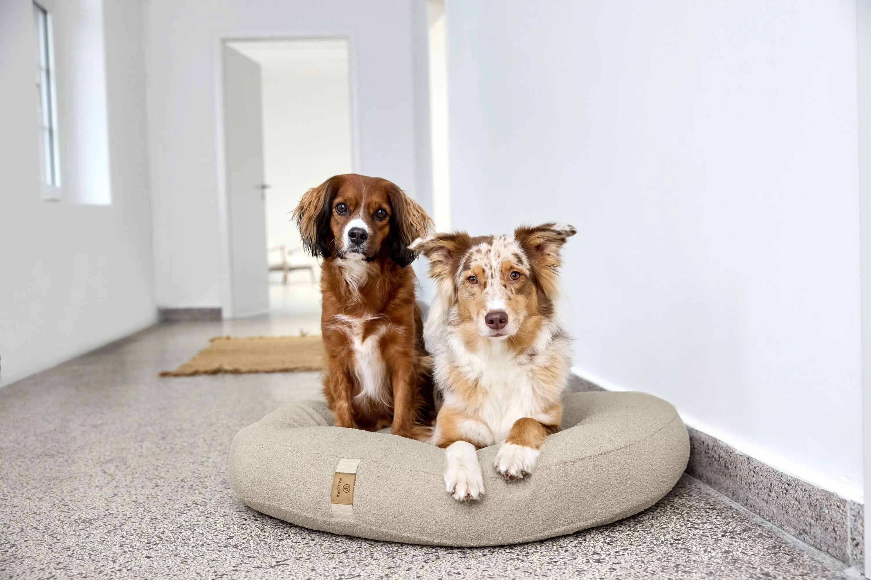 Hundebett Rund - Fippa, Hellbraun