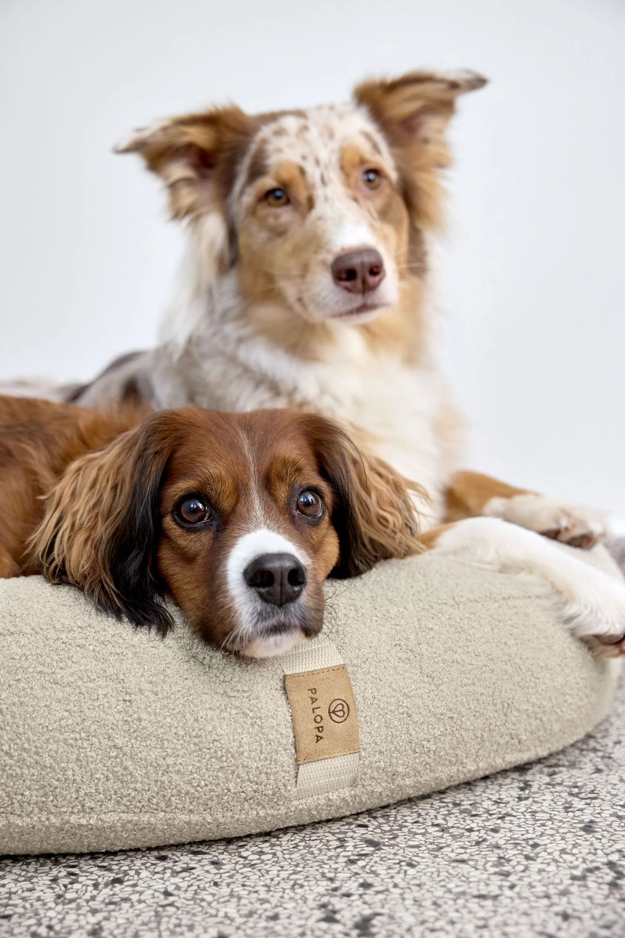 Hundebett Rund - Fippa, Hellbraun