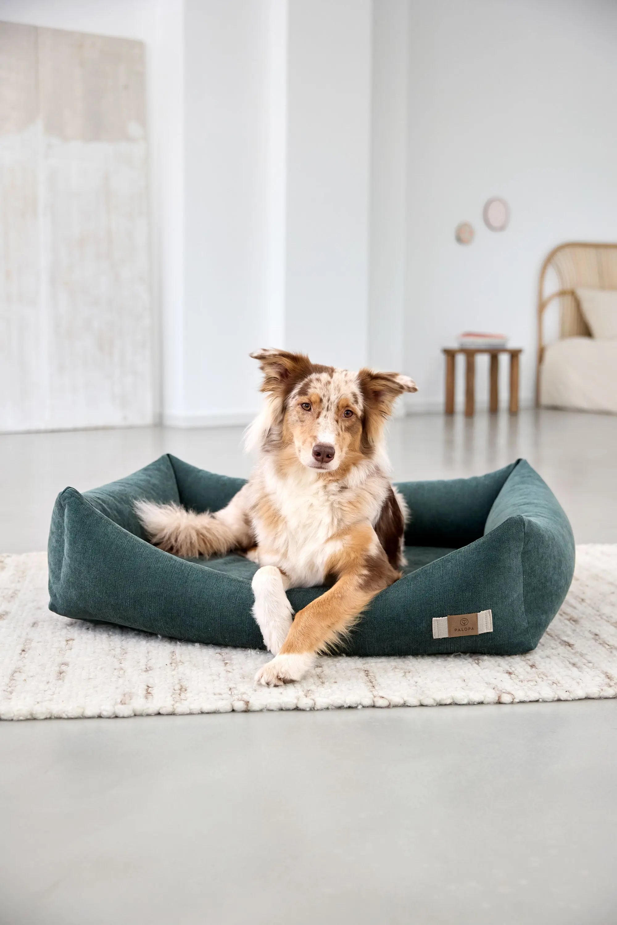 Cotton Dog Bed - Fred, Dark Green