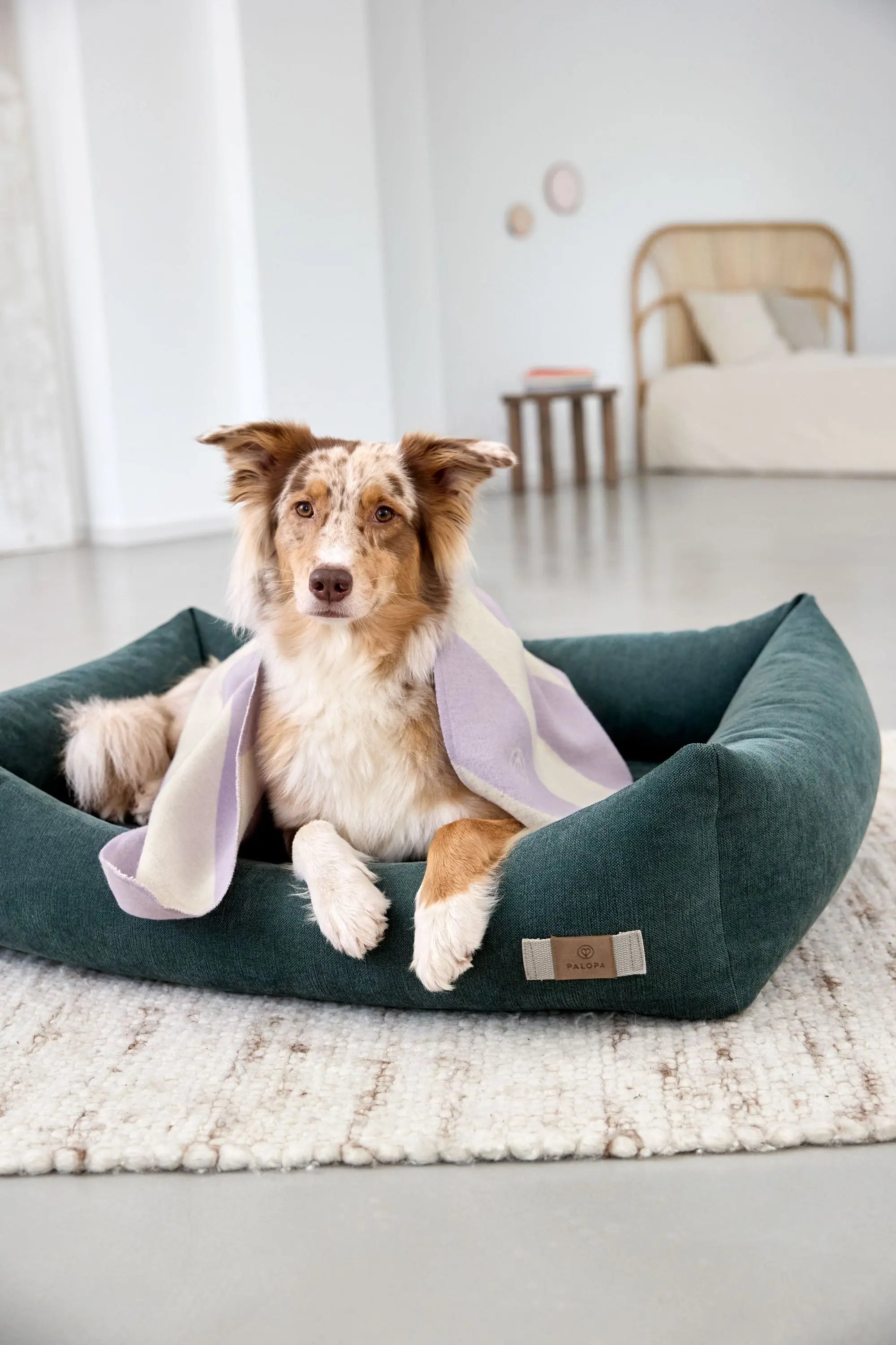 Cotton Dog Bed - Fred, Dark Green