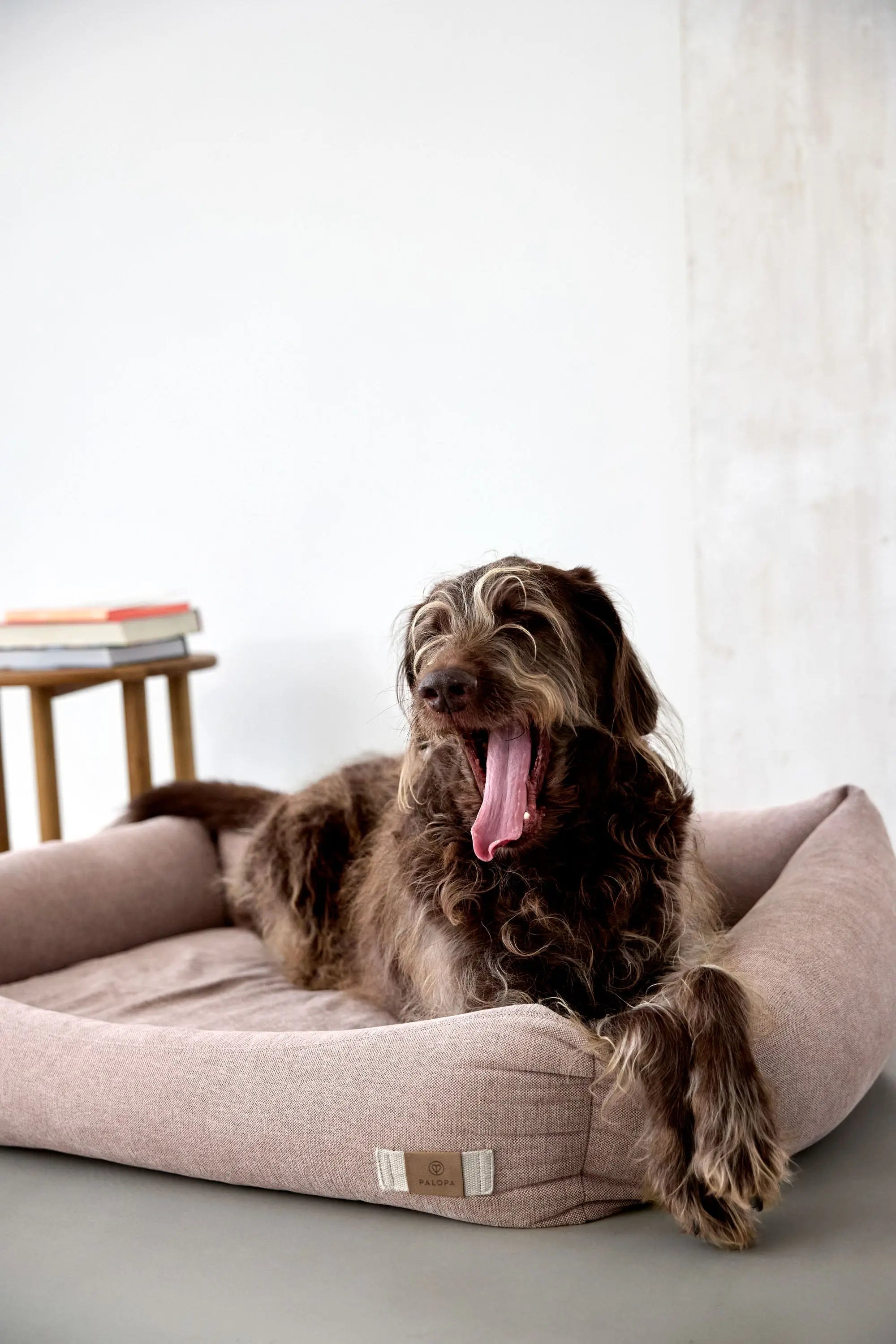 Dog Bed Cotton - Fred, Pink