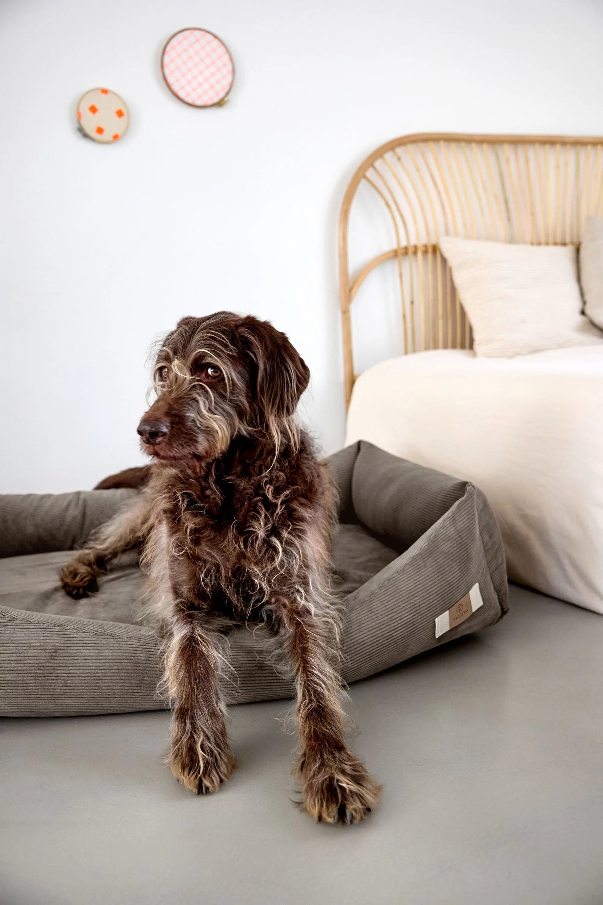 Dog Bed Corduroy - Fred, Brown